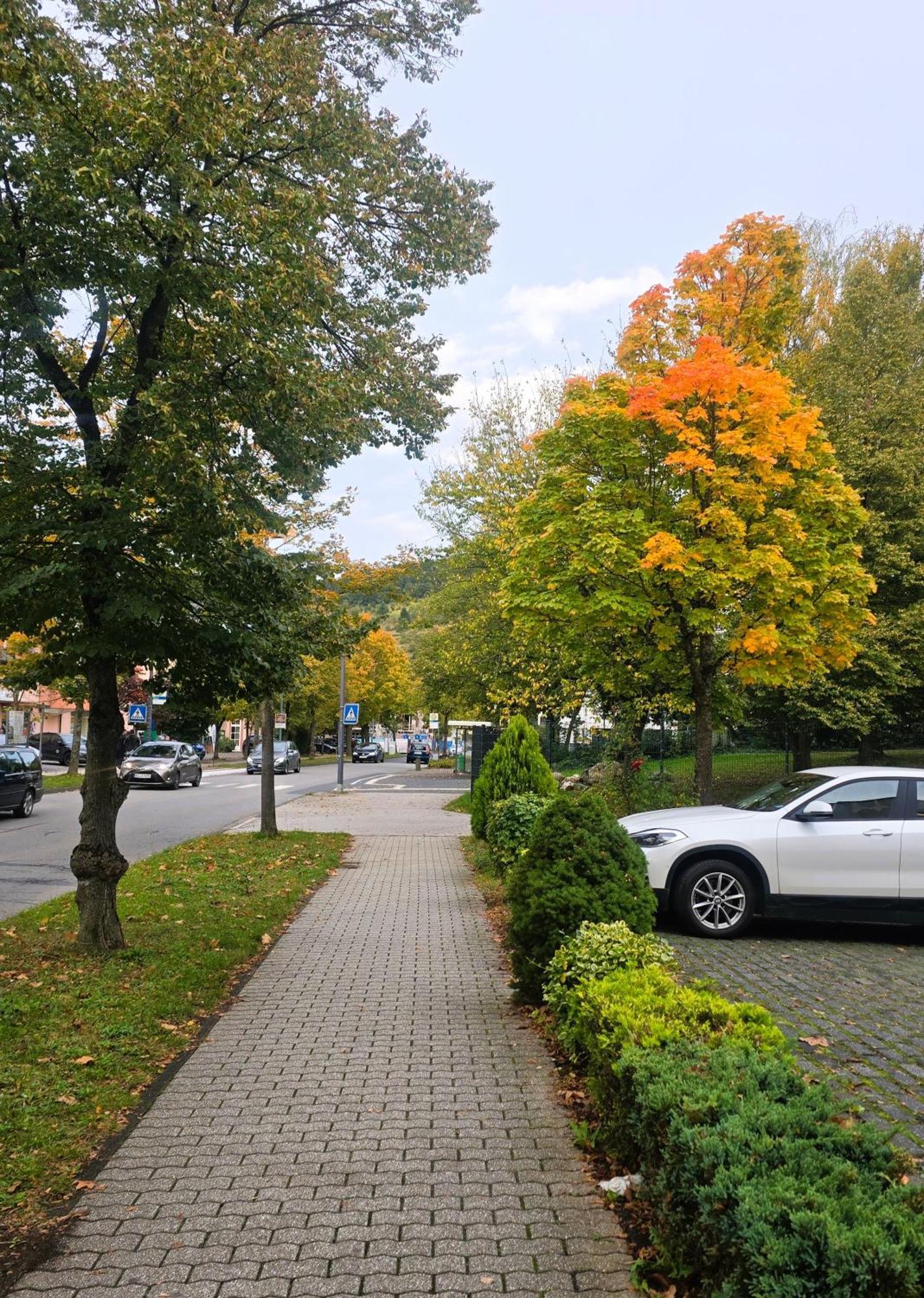Hotel Zur Moselbruecke シュヴァイヒ エクステリア 写真