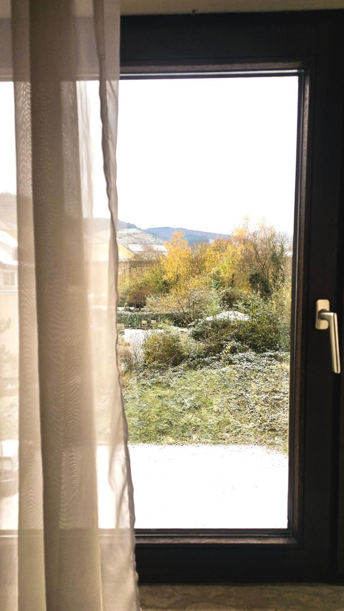 Hotel Zur Moselbruecke シュヴァイヒ エクステリア 写真