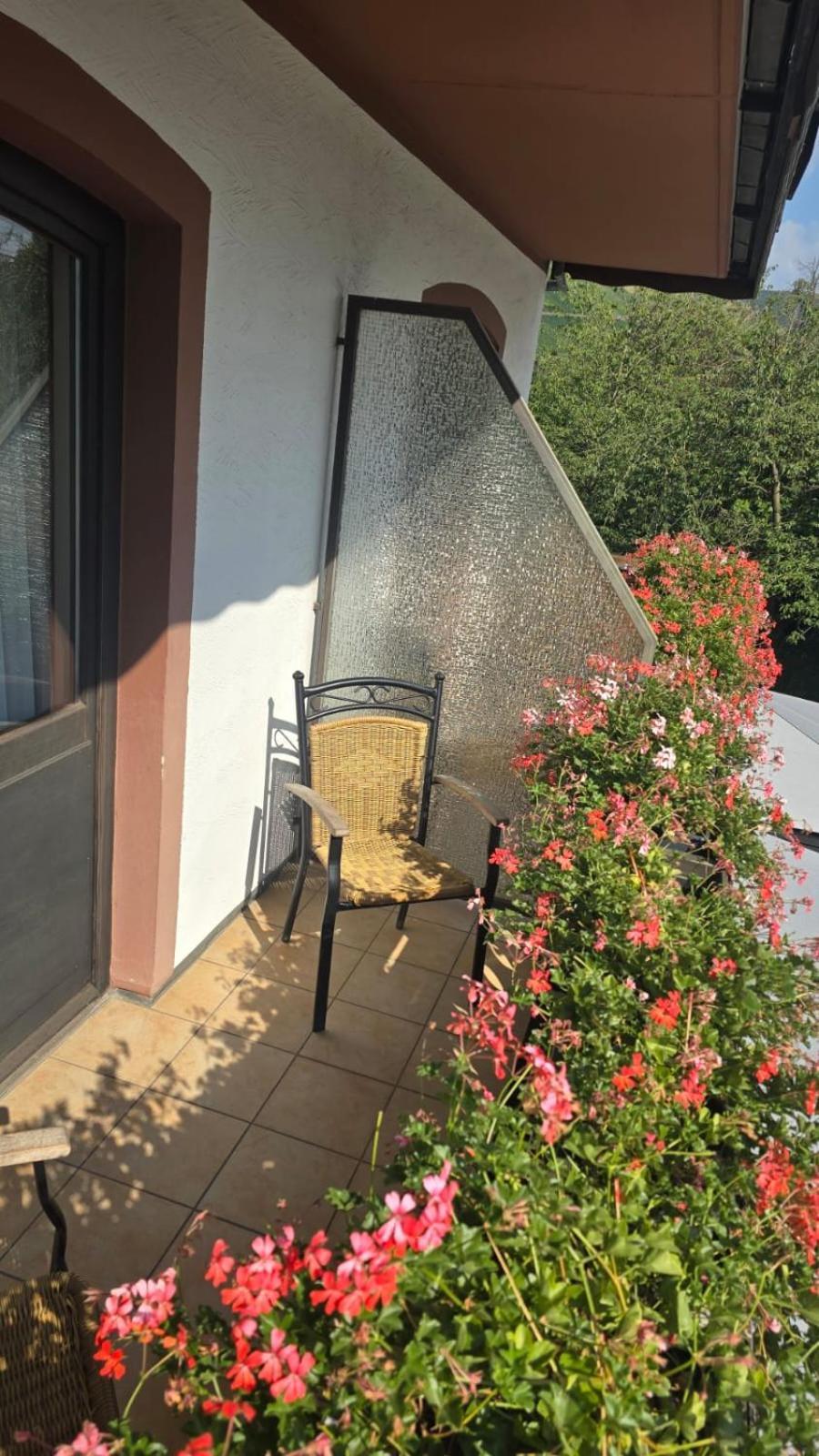 Hotel Zur Moselbruecke シュヴァイヒ エクステリア 写真
